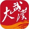 大武汉app官方版