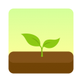 2023forest专注森林最新树种