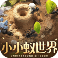 小小蚁世界游戏最新版