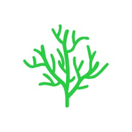 年轮3高级版艾宾浩斯记忆规划软件