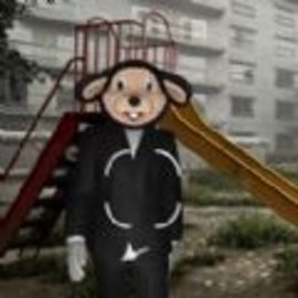 拍摄小能手安卓正版