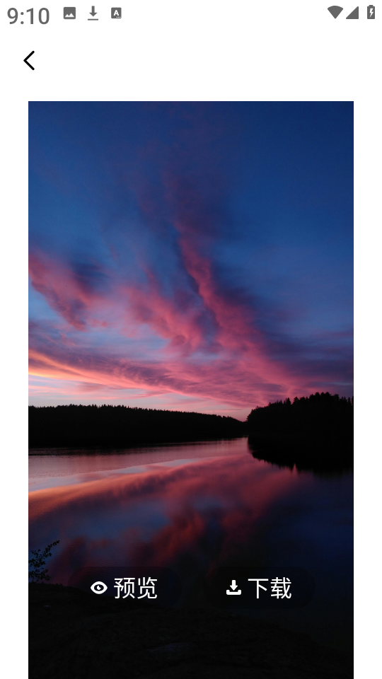 海豚壁纸免费壁纸高清大图 海豚壁纸免费壁纸v1.1